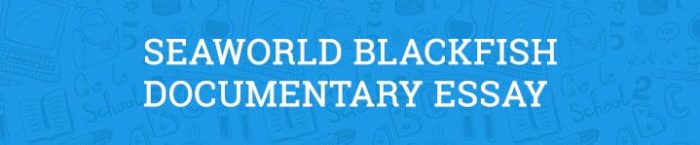 Blackfish documentary image