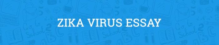 Zika virus during pregnancy image