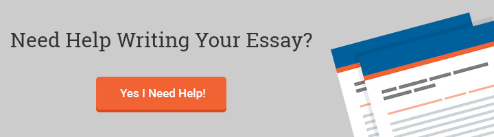 custom essay writing