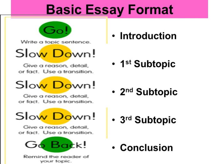 Image result for basic essay format