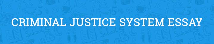 criminal justice system essay