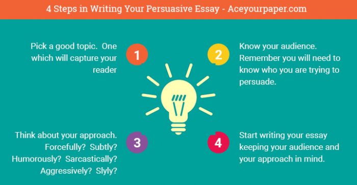 what do persuasive essay mean
