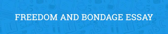 Bondage essay 08 image