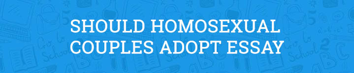 should homosexual partners adopt