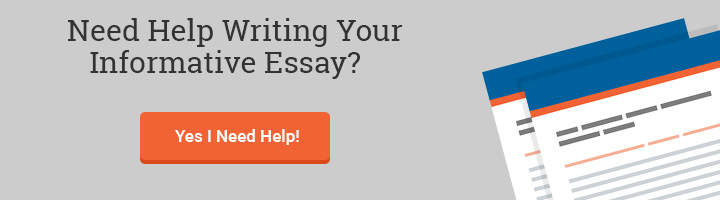 informative essay writing help