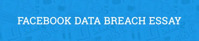 Data breaches essay picture