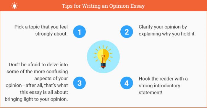 how to write an opinion essay