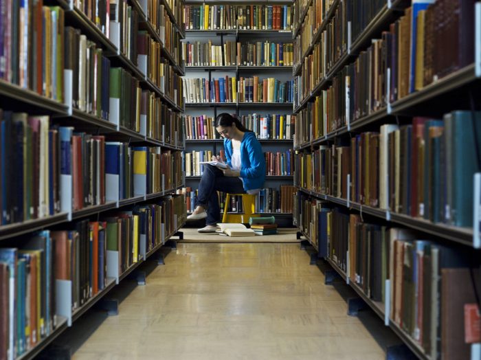 What is literacy essay
